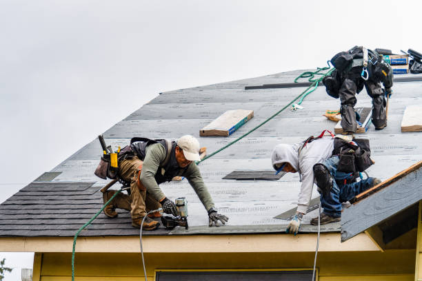Professional Gutter Installation technician working in Rochert, MN