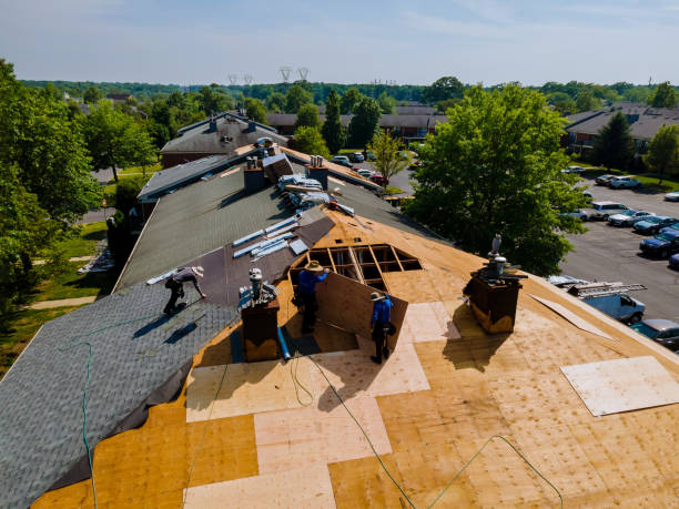 Trusted Roof Replacement service in Rochert, MN - Brentwood Metal Roofing